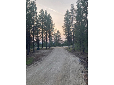 GORGEOUS LAKEFRONT 4 ACRE PARCEL WITH PRIVATE DOCK RIGHTS! Rare - photo 13