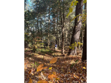 Lake Acreage For Sale in Wilmot, New Hampshire
