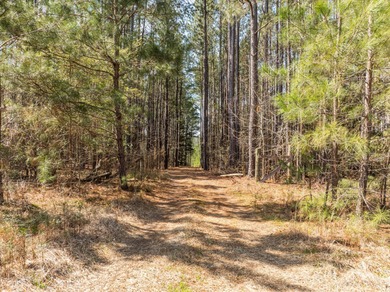 Strom Thurmond / Clarks Hill Lake Acreage Sale Pending in Appling Georgia