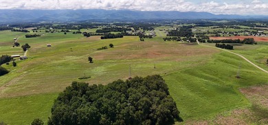 For the first time since its founding in 1777, Elmwood Farm, a - photo 14