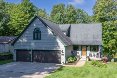 Lake Home For Sale in Stanwood, Michigan