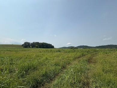 For the first time since its founding in 1777, Elmwood Farm, a - photo 21