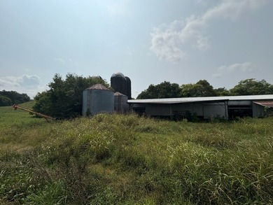 For the first time since its founding in 1777, Elmwood Farm, a - photo 24