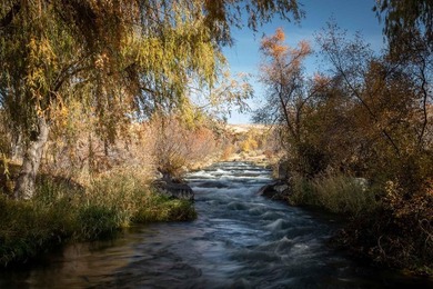 North Renegade Ranch features 464+/- deeded acres and over a - photo 25