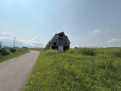 For the first time since its founding in 1777, Elmwood Farm, a - photo 27