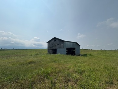 For the first time since its founding in 1777, Elmwood Farm, a - photo 28