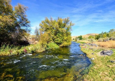 North Renegade Ranch features 464+/- deeded acres and over a - photo 28