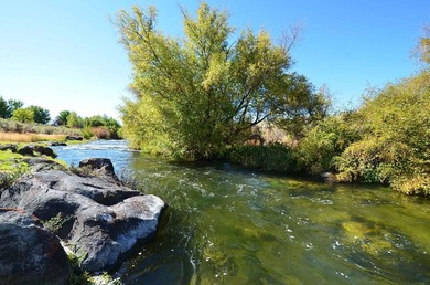 North Renegade Ranch features 464+/- deeded acres and over a - photo 29