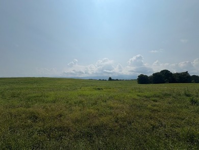 For the first time since its founding in 1777, Elmwood Farm, a - photo 30