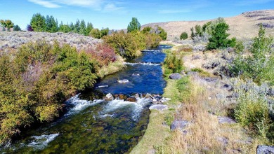 North Renegade Ranch features 464+/- deeded acres and over a - photo 30