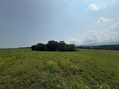 For the first time since its founding in 1777, Elmwood Farm, a - photo 31