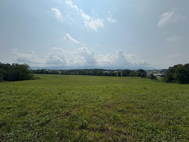 For the first time since its founding in 1777, Elmwood Farm, a - photo 32