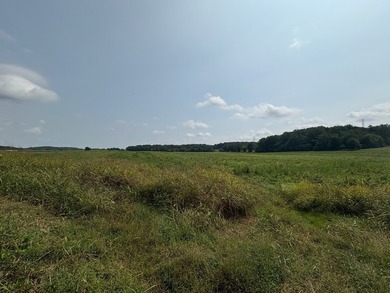 For the first time since its founding in 1777, Elmwood Farm, a - photo 33