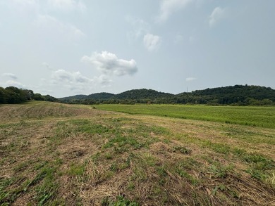 For the first time since its founding in 1777, Elmwood Farm, a - photo 35