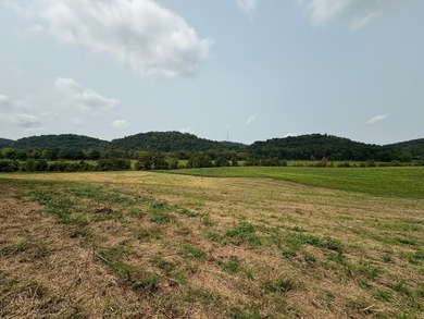 For the first time since its founding in 1777, Elmwood Farm, a - photo 37