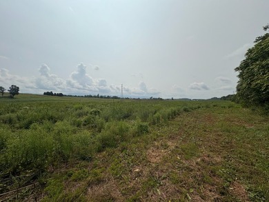 For the first time since its founding in 1777, Elmwood Farm, a - photo 38