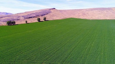North Renegade Ranch features 464+/- deeded acres and over a - photo 38