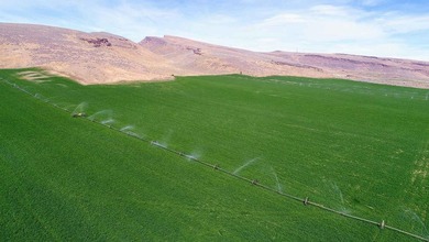 North Renegade Ranch features 464+/- deeded acres and over a - photo 39