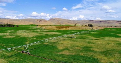 North Renegade Ranch features 464+/- deeded acres and over a - photo 40