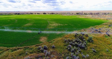 North Renegade Ranch features 464+/- deeded acres and over a - photo 41