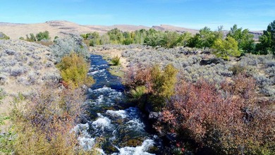 North Renegade Ranch features 464+/- deeded acres and over a - photo 44