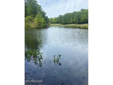 LOCATION LOCATION! WOW What a beautiful property we have here my - photo 3