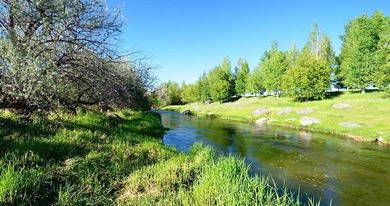 The Renegade Ranch is among the premier sporting ranches in the - photo 11