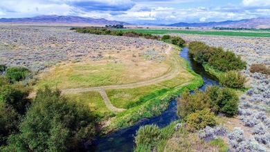 The Renegade Ranch is among the premier sporting ranches in the - photo 15