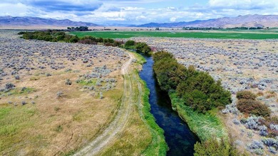 The Renegade Ranch is among the premier sporting ranches in the - photo 16