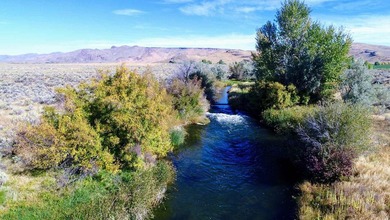 The Renegade Ranch is among the premier sporting ranches in the - photo 17