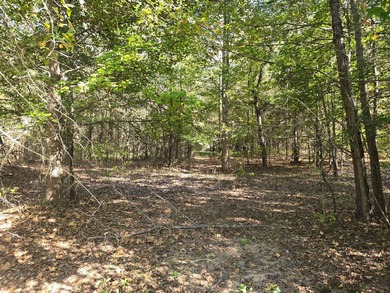 3 BED 1 BATH HOME ON 14 ACRES FOR SALE IN ANTLERS OKLAHOMA!! - photo 18