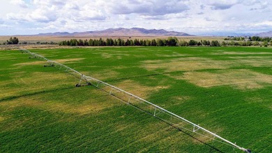 The Renegade Ranch is among the premier sporting ranches in the - photo 19
