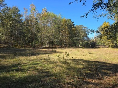 3 BED 1 BATH HOME ON 14 ACRES FOR SALE IN ANTLERS OKLAHOMA!! - photo 20