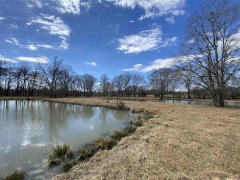 Lake Acreage Off Market in Terry, Mississippi