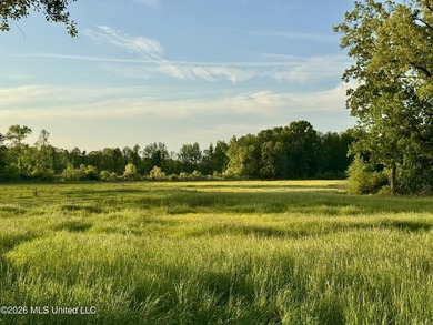This exceptional 176+/- acre tract in Tippah County offers a - photo 2