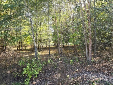 3 BED 1 BATH HOME ON 14 ACRES FOR SALE IN ANTLERS OKLAHOMA!! - photo 22