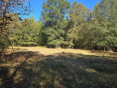 3 BED 1 BATH HOME ON 14 ACRES FOR SALE IN ANTLERS OKLAHOMA!! - photo 24