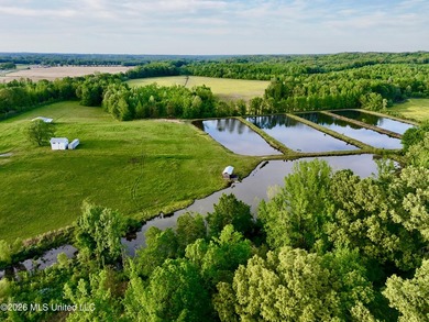This exceptional 176+/- acre tract in Tippah County offers a - photo 5