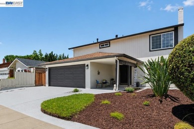 This beautiful, bright, renovated 4 bedroom 3 bath modern home - photo 6