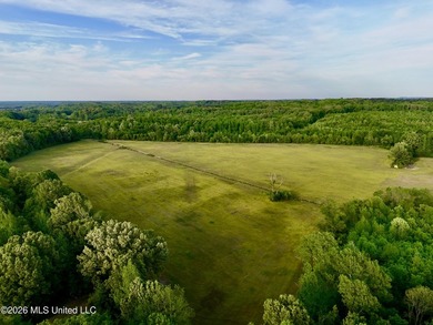 This exceptional 176+/- acre tract in Tippah County offers a - photo 6