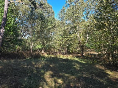 3 BED 1 BATH HOME ON 14 ACRES FOR SALE IN ANTLERS OKLAHOMA!! - photo 26