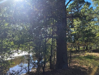 3 BED 1 BATH HOME ON 14 ACRES FOR SALE IN ANTLERS OKLAHOMA!! - photo 27