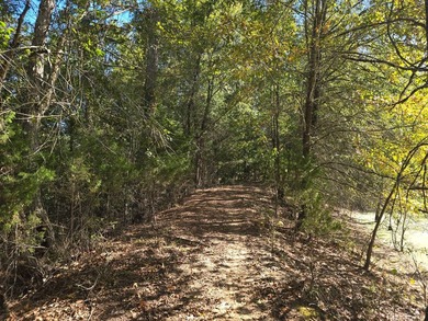 3 BED 1 BATH HOME ON 14 ACRES FOR SALE IN ANTLERS OKLAHOMA!! - photo 28