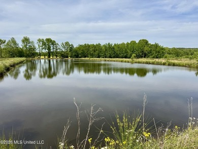 This exceptional 176+/- acre tract in Tippah County offers a - photo 9