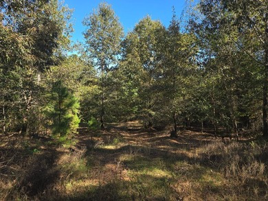 3 BED 1 BATH HOME ON 14 ACRES FOR SALE IN ANTLERS OKLAHOMA!! - photo 29