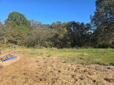 3 BED 1 BATH HOME ON 14 ACRES FOR SALE IN ANTLERS OKLAHOMA!! - photo 30