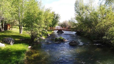 The Renegade Ranch is among the premier sporting ranches in the - photo 38
