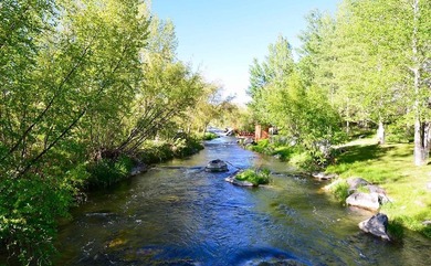 The Renegade Ranch is among the premier sporting ranches in the - photo 39
