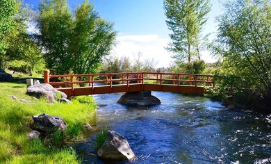 The Renegade Ranch is among the premier sporting ranches in the - photo 40