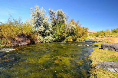 The Renegade Ranch is among the premier sporting ranches in the - photo 45